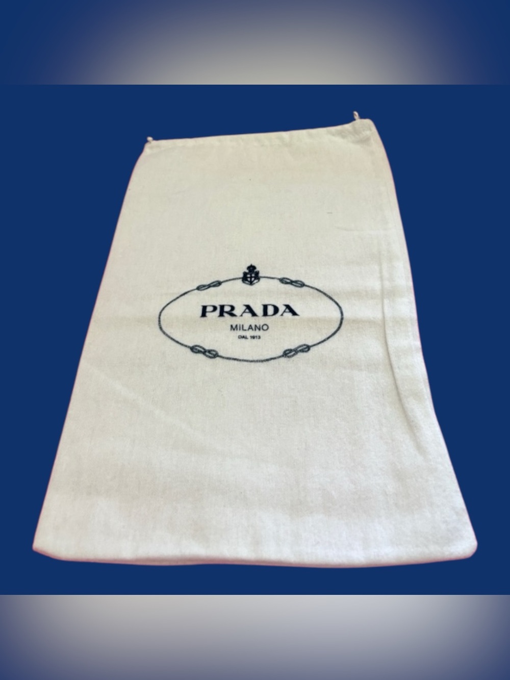 Prada NWOT -Cream Dust Bag with Blue Logo